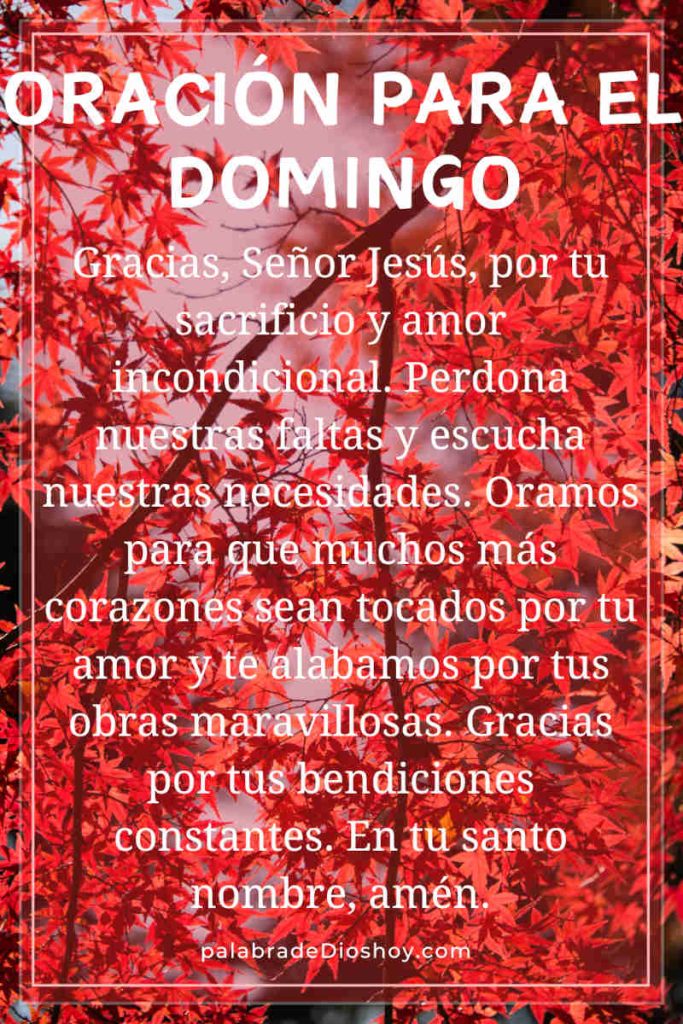 Oracion para el domingo