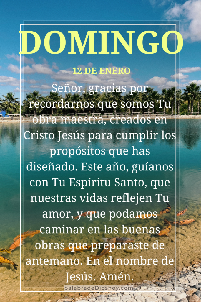 Oración del domingo | Creados en Cristo Jesús para buenas obras 8 Oracion del domingo 12 de enero