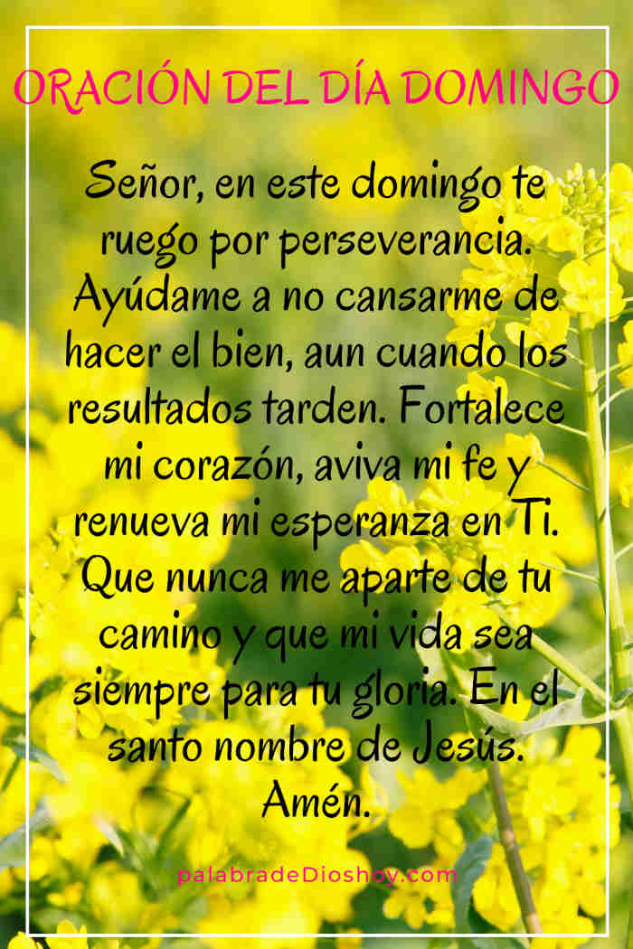 Oración cristiana del domingo sobre la perseverancia basada en Gálatas 6:9, con alabanzas, amor por Dios y peticiones sinceras.