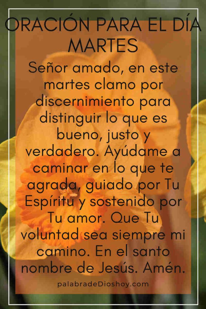 Oración cristiana inspiracional del martes basada en Efesios 5:10 sobre discernimiento y guía espiritual.
