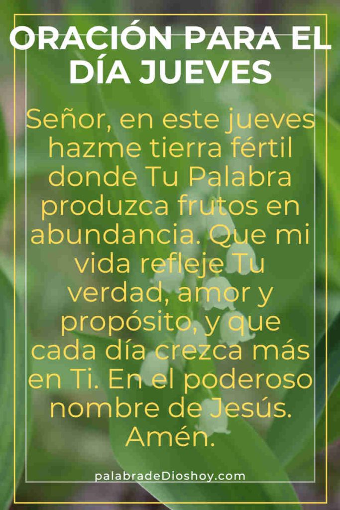 Oración del día de hoy jueves 22 de mayo de 2025 5 Oración cristiana del jueves de 2025 basada en Mateo 13:8 sobre dar frutos espirituales con dirección divina.