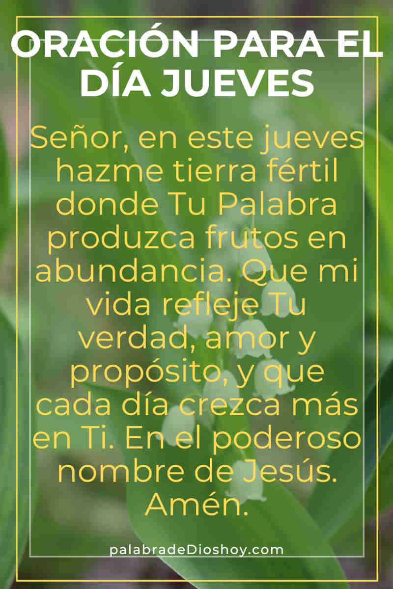 Oración del día de hoy jueves 22 de mayo de 2025 1 Oración cristiana del jueves de 2025 basada en Mateo 13:8 sobre dar frutos espirituales con dirección divina.