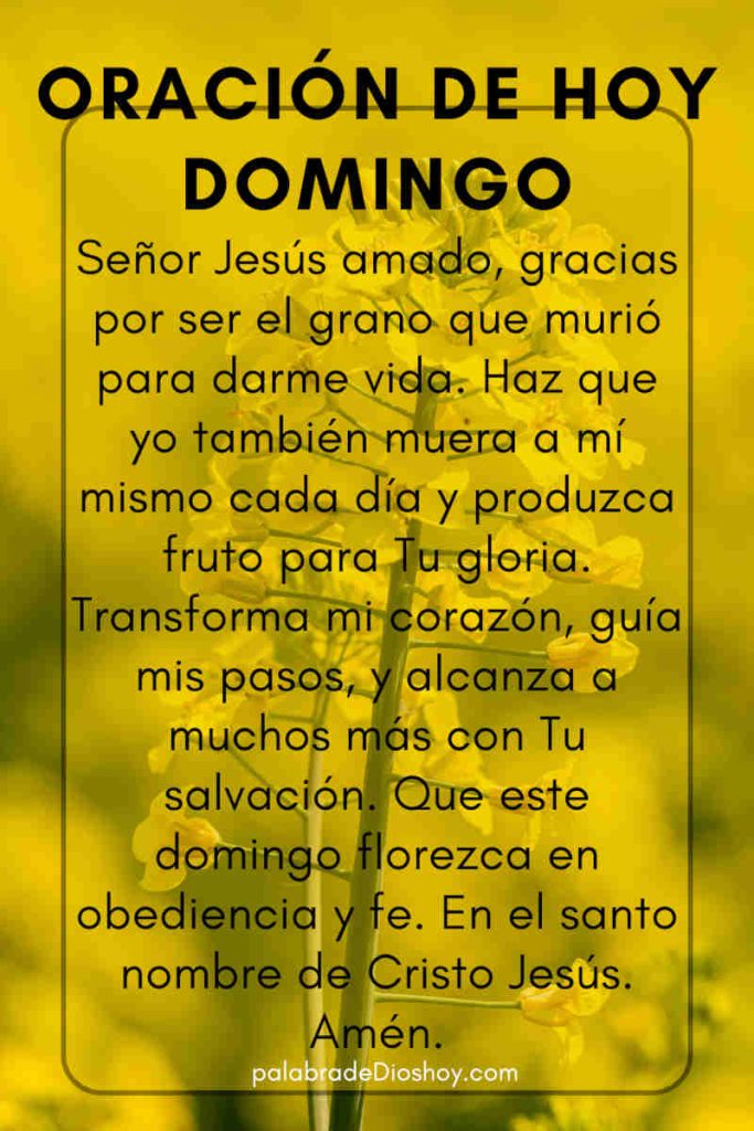 Imagen de oración del día domingo sobre los frutos espirituales basada en Juan 12:24
