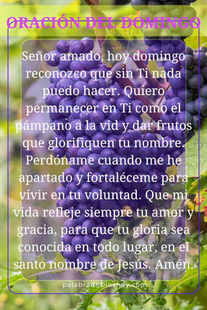 Oración cristiana inspiracional sobre dar frutos basada en Juan 15:5 para el domingo 10 de agosto de 2025