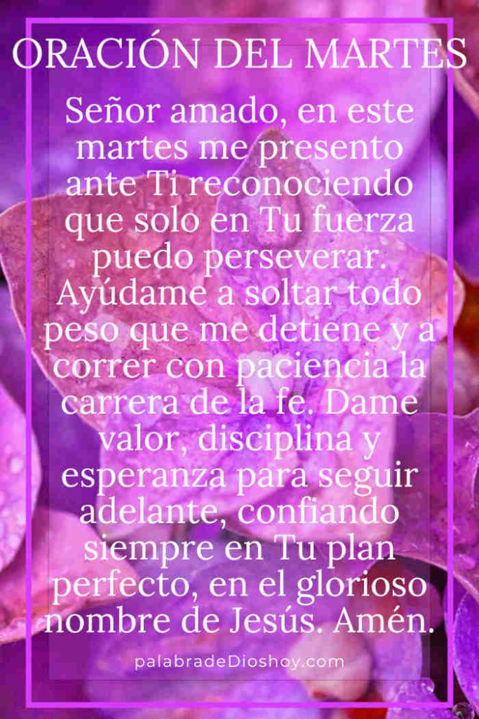 Oración cristiana sobre perseverancia para el martes 26 de agosto de 2025 basada en Hebreos 12:1