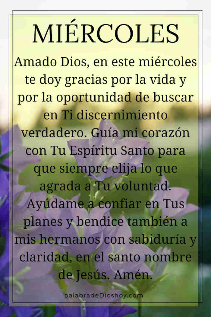 Oración del día de hoy miércoles 27 de agosto de 2025 1 Oración cristiana sobre discernimiento para el miércoles 27 de agosto de 2025 basada en Proverbios 15:14