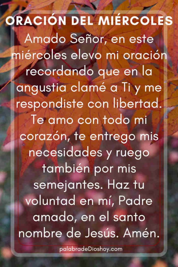 Oración cristiana inspirada en Salmos 118:5 para el miércoles 3 de septiembre de 2025.