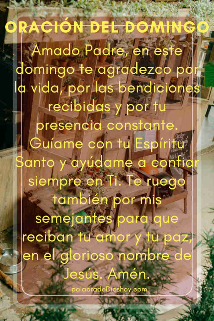 Oración del día de hoy domingo 7 de septiembre de 2025 1 Oración cristiana de agradecimiento basada en Salmos 95:2 para el domingo 7 de septiembre de 2025.