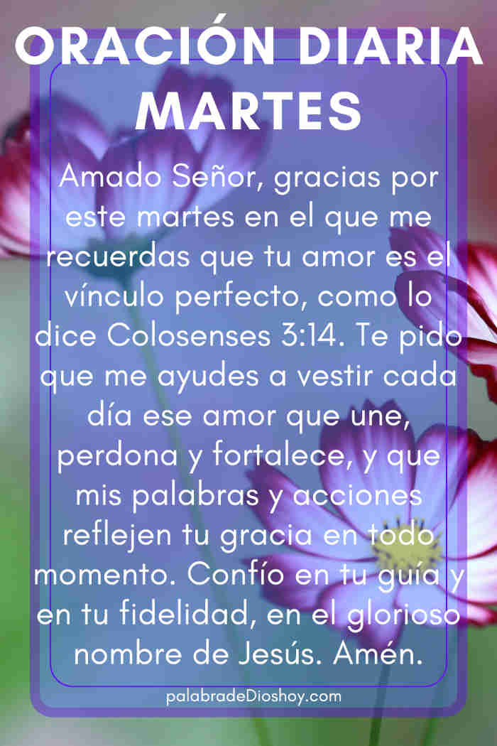 Oración del día de hoy martes 9 de septiembre de 2025 1 Oración cristiana de amor para el martes 9 de septiembre de 2025 basada en Colosenses 3:14