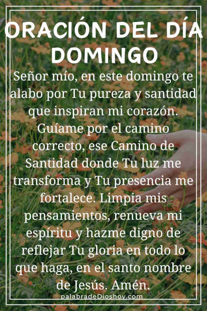 Oración del día de hoy domingo 12 de octubre de 2025 2 Oración cristiana inspiracional sobre la santidad basada en Isaías 35:8 para el domingo 12 de octubre de 2025.