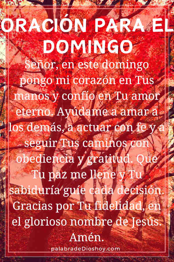 Oración cristiana del domingo sobre el amor basada en Deuteronomio 10:12.