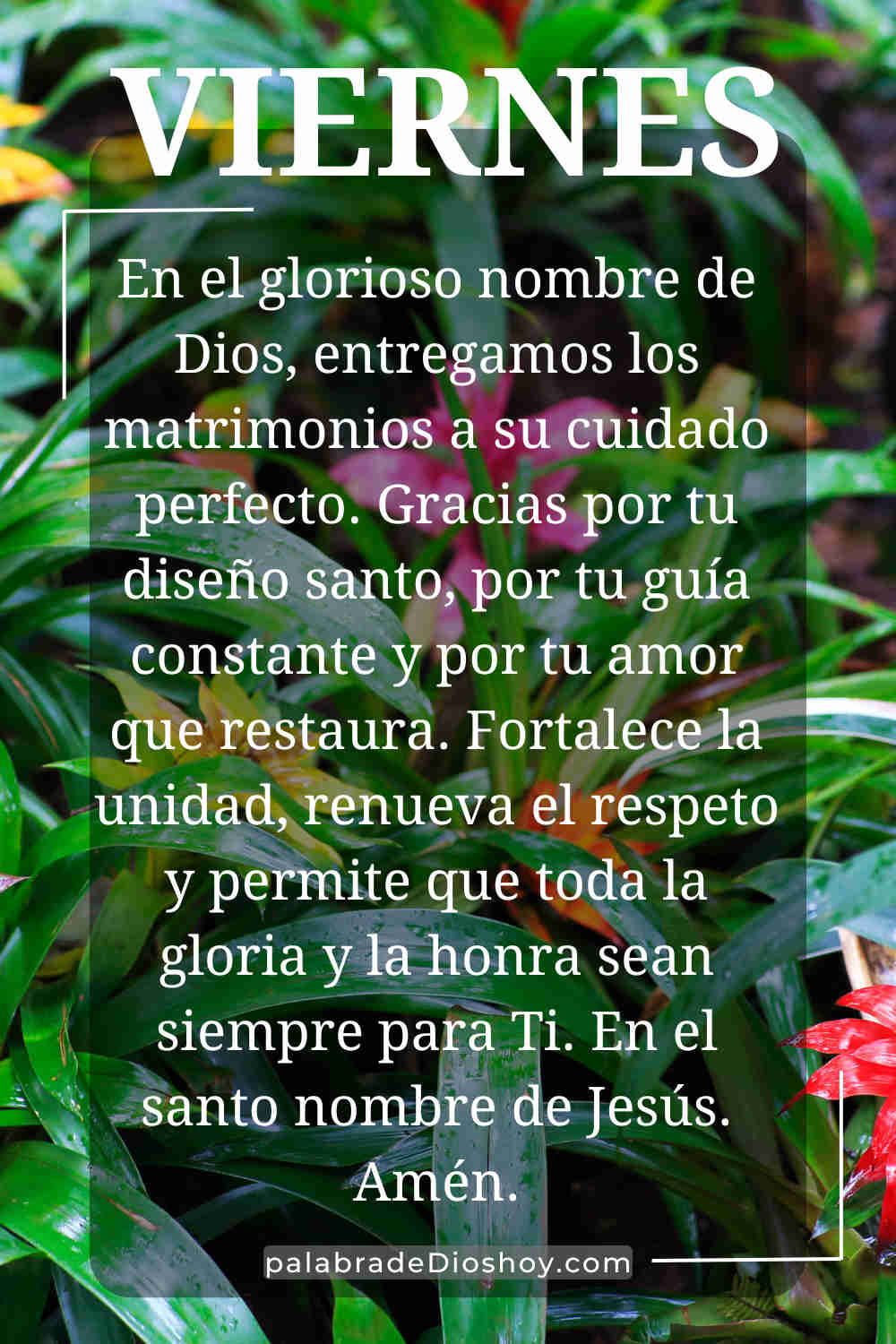 Oración cristiana por el matrimonio para el viernes 16 de enero de 2026
