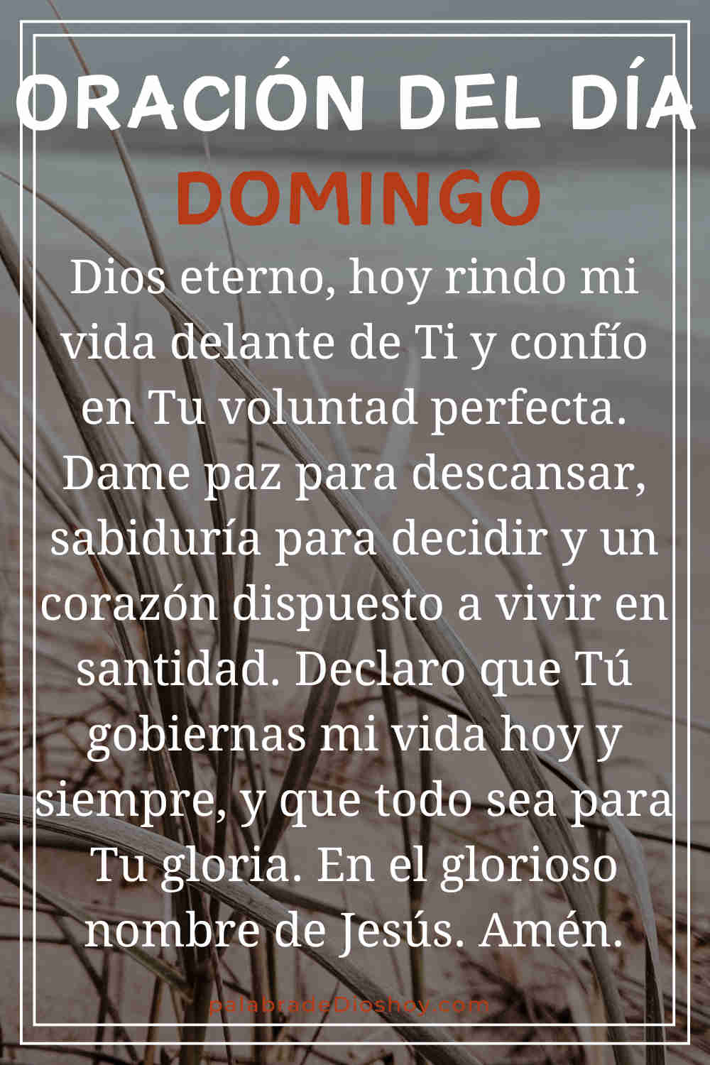 Oración del día de hoy domingo 25 de enero de 2026 1 Oración cristiana sobre la santidad para el domingo 25 de enero de 2026 basada en Romanos 6:19