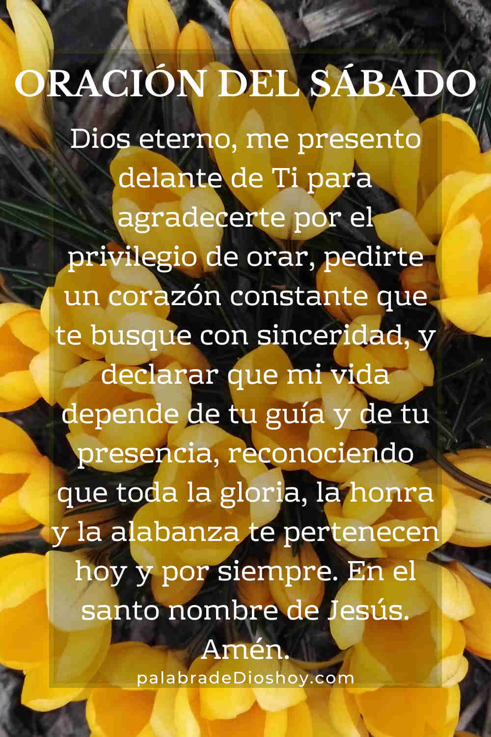 Oración cristiana sobre la importancia de la oración basada en Lucas 6:12 para el sábado