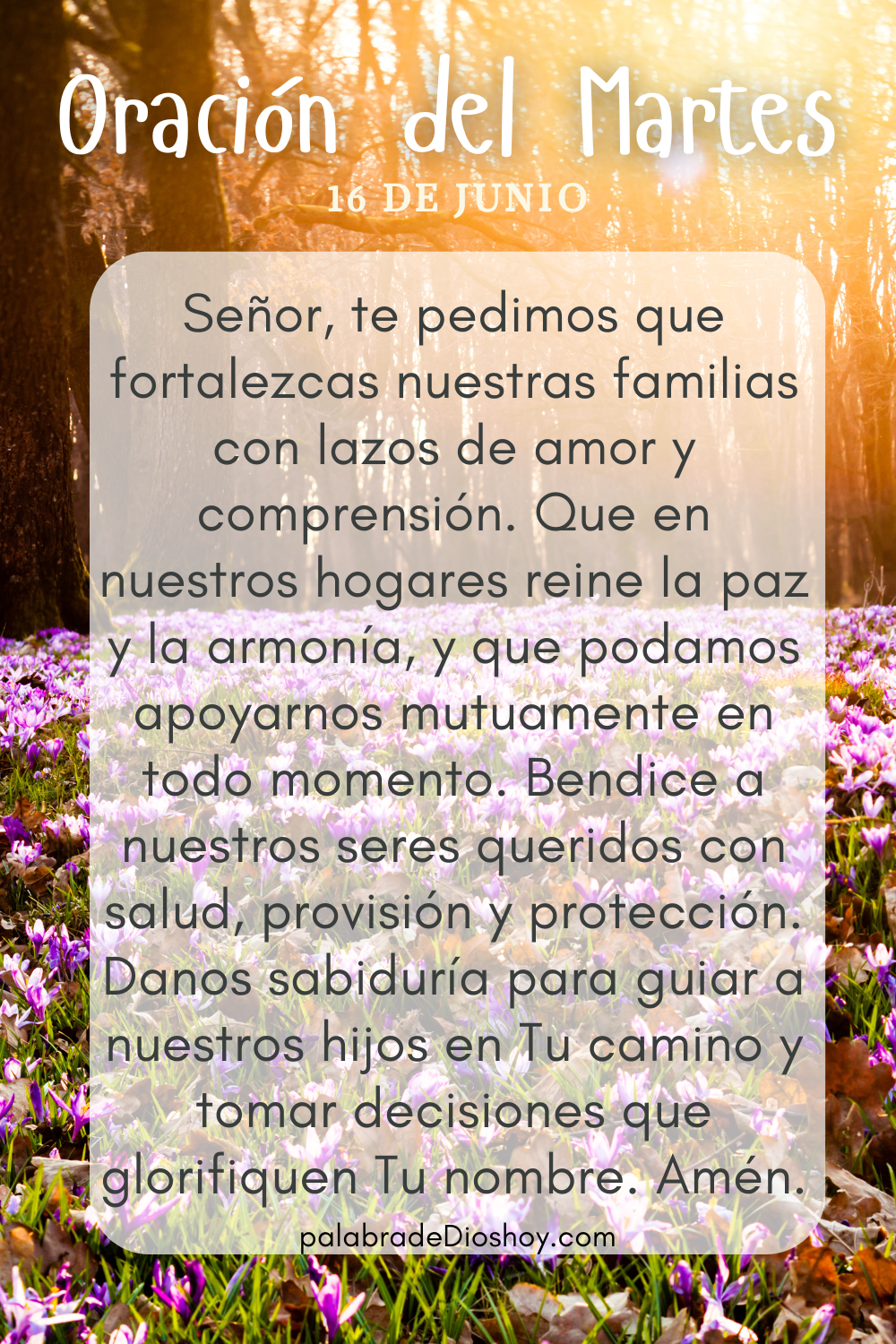 Oración cristiana por la familia basada en Josué 24:15 para el martes 16 de junio.